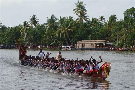 Boat Races - Kerala Taxi Tour - Experiences, guides and tips