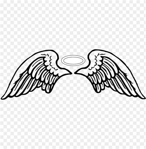 960 x 480 24 - angel wings vector PNG image with transparent background ...