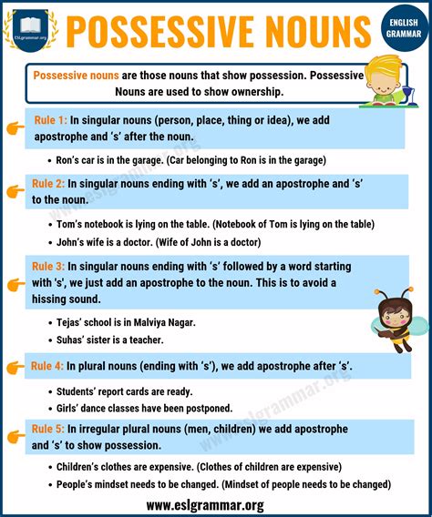 Possessive Nouns: Definition, Rules and Useful Examples - ESL Grammar