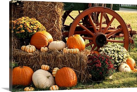 Autumn Pumpkins and Mum Display | Great Big Canvas