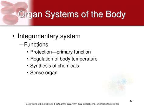 Organ Systems of the Body - ppt download