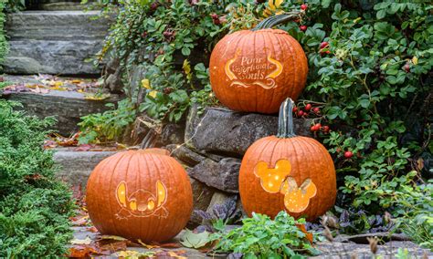 12 Disney Pumpkin Carving Stencils for Halloween | BeChewy