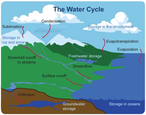 Sublimation Diagram Water Cycle