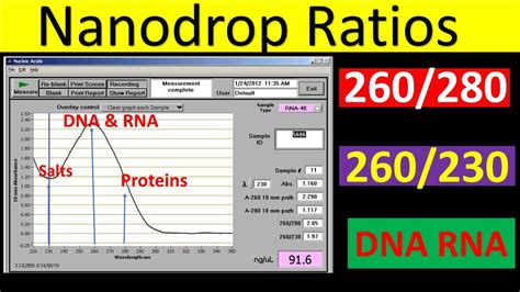 Nanodrop Ratios Explained 260/280 Ratio DNA 260/280 Ratio, 43% OFF