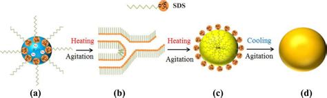 Scheme representing synthesis of paraffin microsphere. (a) W/O ...