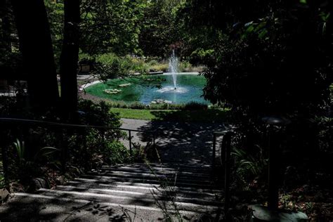 This Marin County garden center just made the U.S. ‘historic places’ list