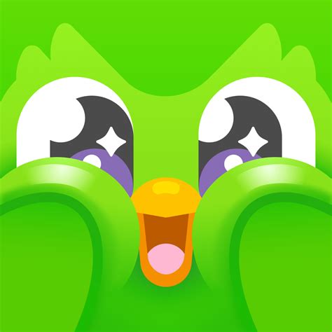 Duolingo - Language Lessons | iOS Icon Gallery