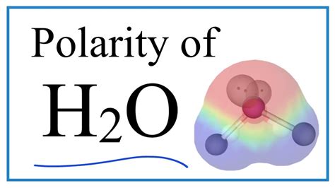 Polarity of Water Molecule Explained - YouTube