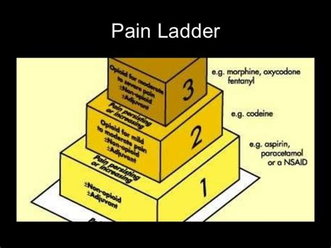 Slideshare chronicpain8.10.11