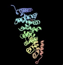 FAP Colon Cancer: APC Gene Function