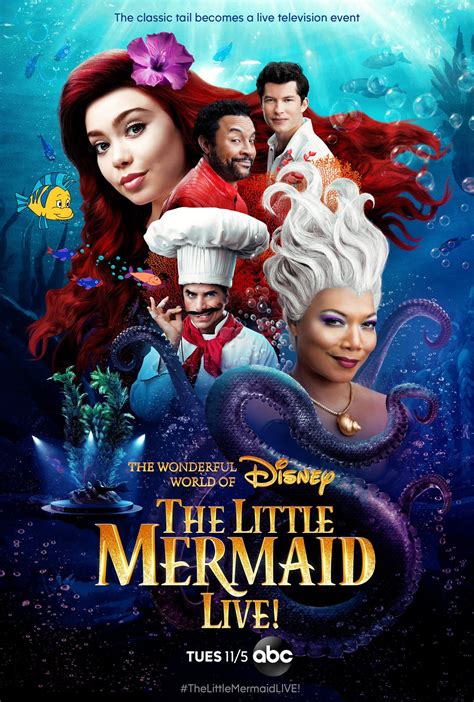 Disney+ on Twitter | Little mermaid movies, Mermaid movies, Little ...