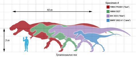 WowToyz - Educational Pages - Tyrannosaurus rex