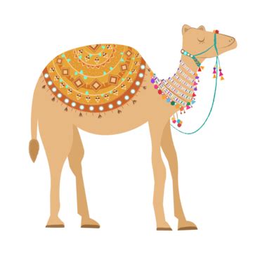 Cute Camel Illustration Indian Weddings Fair Rajasthan Art Vector ...