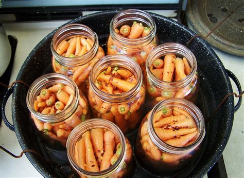 Canning Pickled Carrots with Garlic Scapes • a traditional life