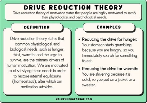 Drive Reduction Theory of Motivation: Definition & Examples (2024)