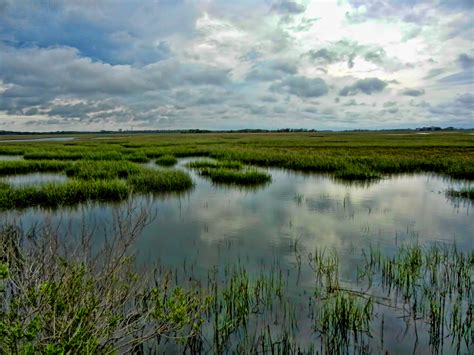 Natural Capital Coalition | Saltmarshes, Ecosystem Services, & An ...