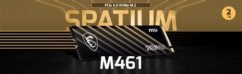 MSI SPATIUM M461 PCIe 4.0 NVMe M.2 1TB SSD Storage - MSI-US Official Store