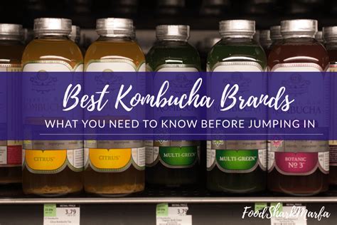 The 6 Best Kombucha Brands in 2023 - Food Shark Marfa