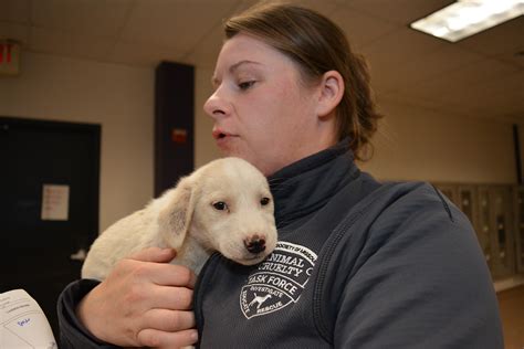 Lincoln County: 36 Animals Rescued from Neglect | Humane Society of ...