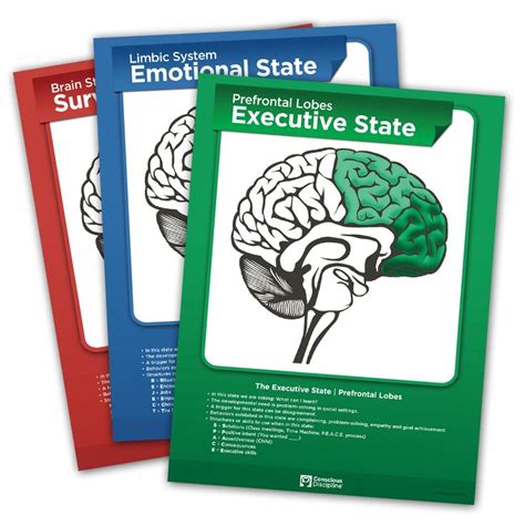 Brain State Poster Set - Conscious Discipline | State posters ...