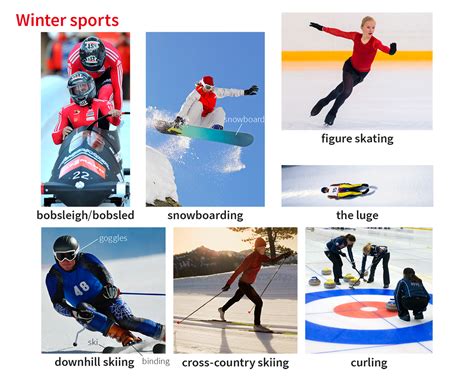 winter sports noun - Definition, pictures, pronunciation and usage ...