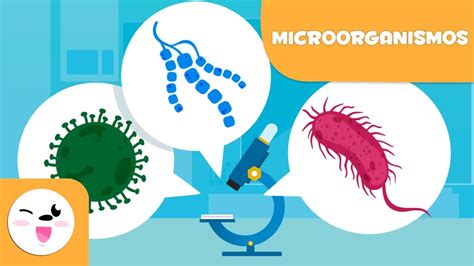 Reinos Bacterias, Protista Y Hongos - Lessons - Blendspace