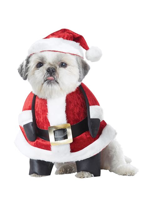 Santa Pup Dog Costume