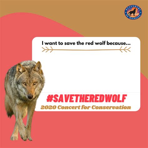 Concert for Conservation for the American Red Wolf | Defenders of Wildlife