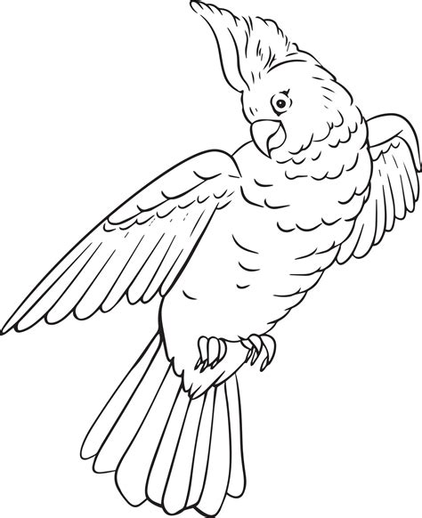 Parrot. The drawing is handmade in black and white. For illustrations ...