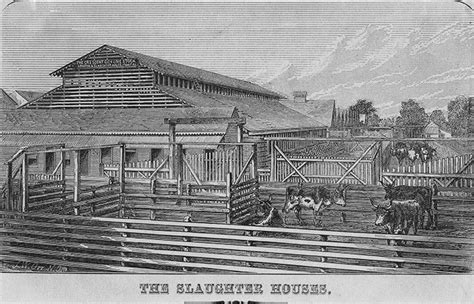 Slaughterhouse Case - 64 Parishes