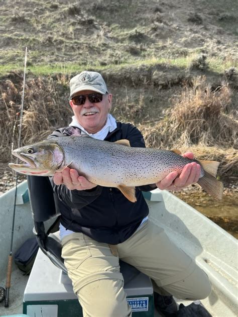 Fly Fishing the famous North Platte River near Casper, Wyoming - Trout ...