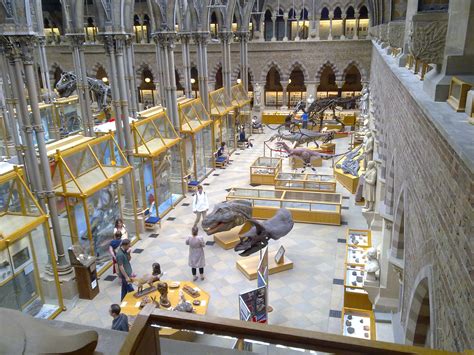 File:Dinosaurs on display at the natural history museum.jpg - Wikipedia