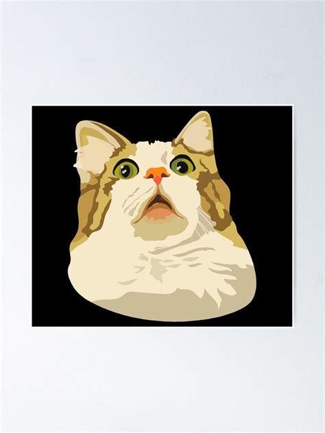 "Surprised Cat Meme, Cursed Cat Images" Poster for Sale by printify ...