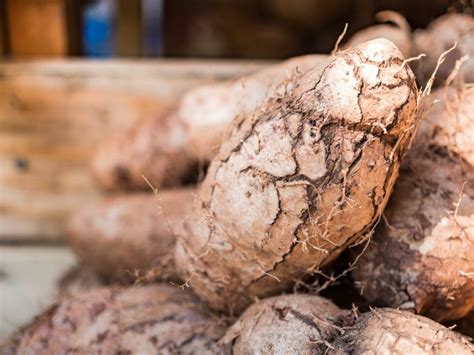 Chinese Yam Plants - How Do You Grow Yams