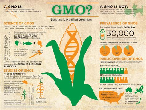 GMOs: Solution or Problem