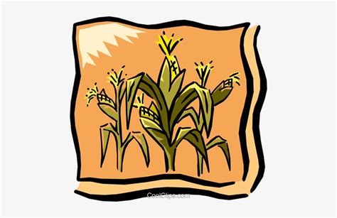 Corn Field Royalty Free Vector Clip Art Illustration - Corn Graphic PNG ...