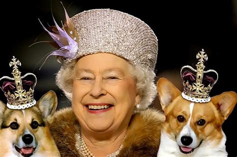 Regno Unito, è morto uno dei cani della regina Elisabetta