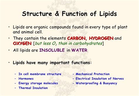 Lipids