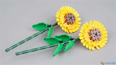 LEGO 40524 Sunflowers review | Brickset