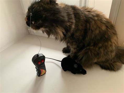 Wireless Remote Control Mouse Toy - Pet Clever