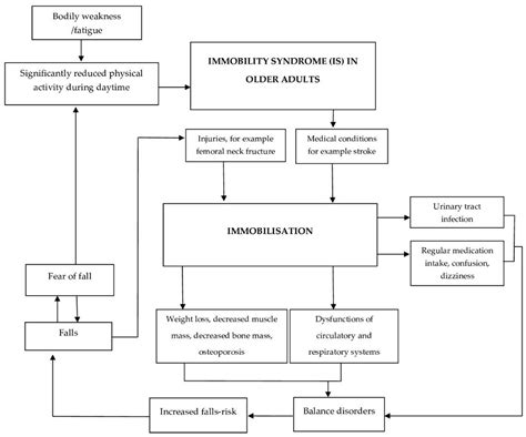 JCM | Free Full-Text | Rehabilitation in Older Adults Affected by ...