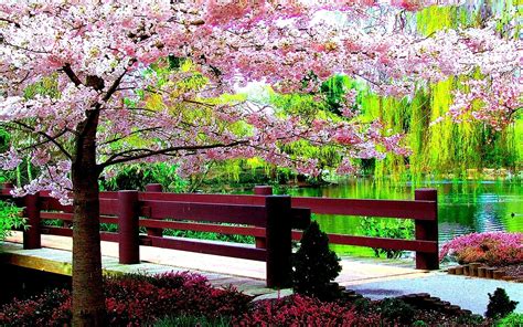 Spring Park Wallpaper