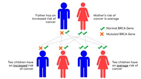 What is the BRCA Exchange and what do we do? – BRCA Exchange