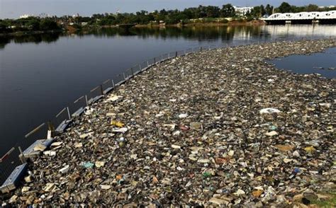 13 Shocking Images Show India's Major Rivers Are Dying Of Pollution And ...