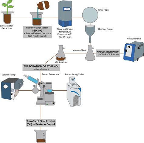 Plant Solvent Extraction Method Using Ethanol: 3 Steps - Cole-Parmer