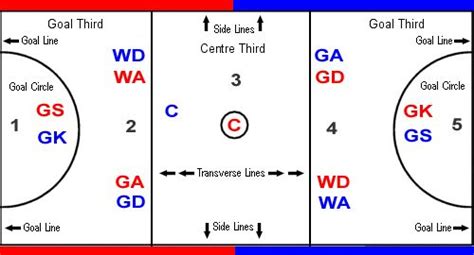 Netball Rules Guide | GO Mammoth