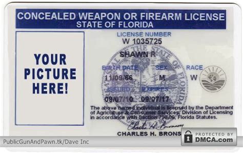 Florida's Concealed Carry Weapons Permit Fast-Track Process Could ...