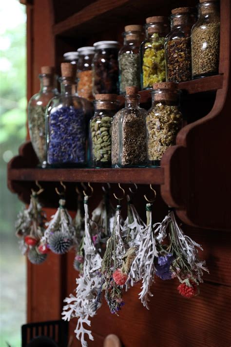 Creating Your Home Herbal Apothecary | Decorazioni fai da te per ...