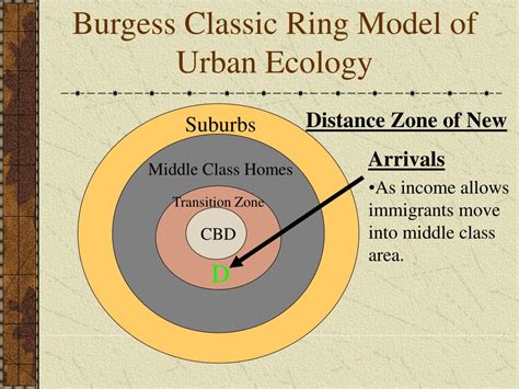 PPT - Burgess Classic Ring Model of Urban Ecology PowerPoint ...