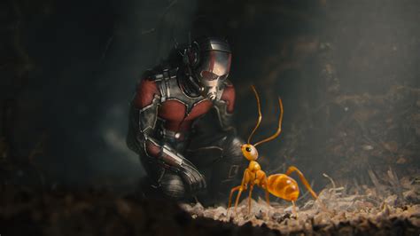 Ant Man Movie, HD Movies, 4k Wallpapers, Images, Backgrounds, Photos ...